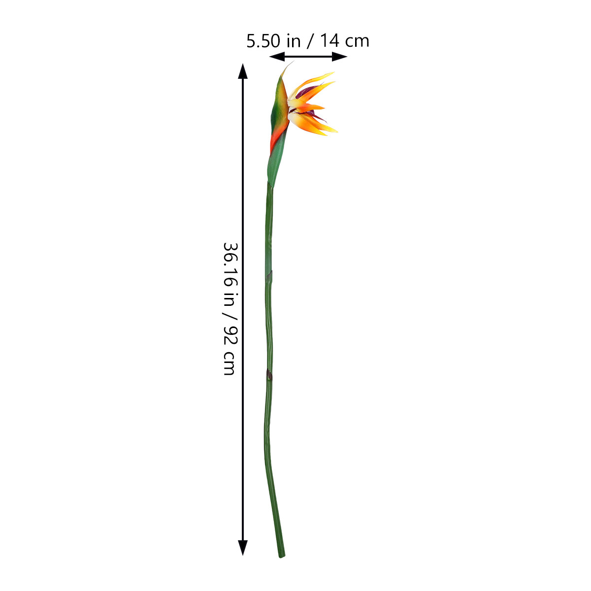 Künstliche Paradiesvogelblume  – Bird Paradise Strelitzia Bewertung und Preis